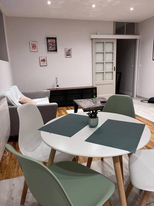 Proche Gare, Cosy, Courte Et Moyenne Duree Apartment Bellegarde-sur-Valserine Ngoại thất bức ảnh